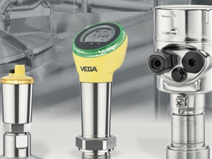 VEGA